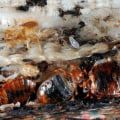 Will Essential Oils Get Rid of Bed Bugs?