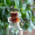 Is it Safe to Inhale Essential Oils?