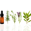 Essential Oils: What Can You Use Directly on Your Skin?