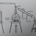 The Different Methods of Extracting Essential Oils