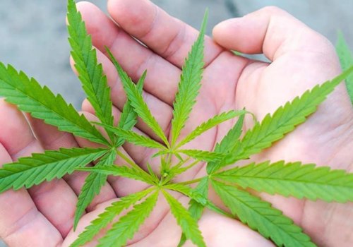 Using Essential Oils to Kill Weeds